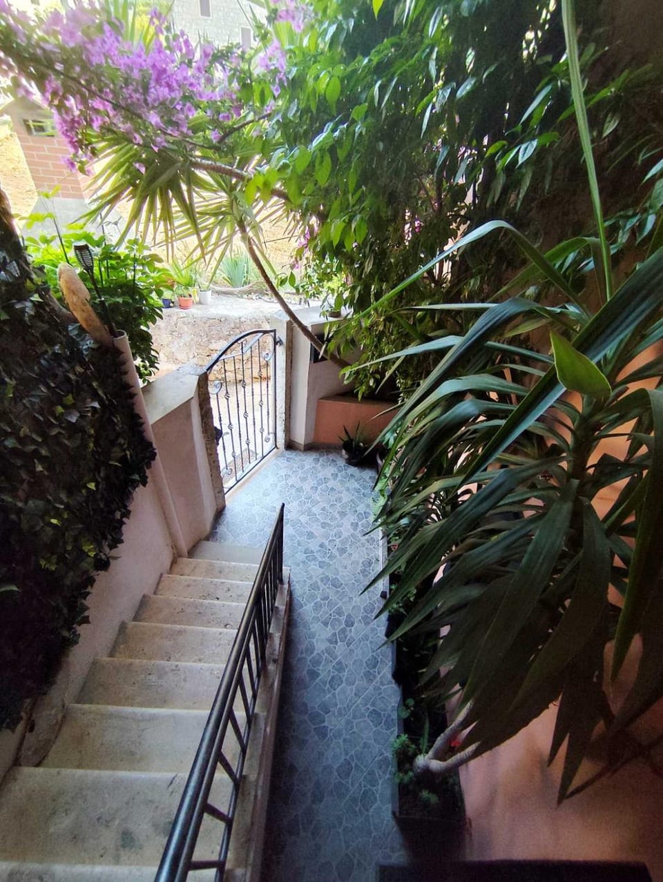 Bougainvillea--Apartment By The Sea Apartment in Dubrovnik-Neretva County