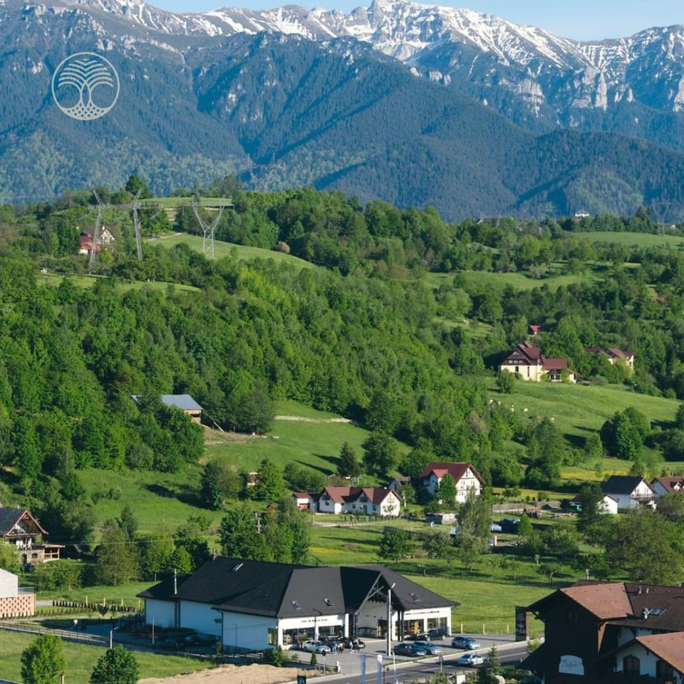 HANUL CURTEA VECHE Bed and Breakfast in Brașov County