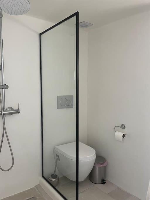 PSH Louloudenia Apartment in Milos