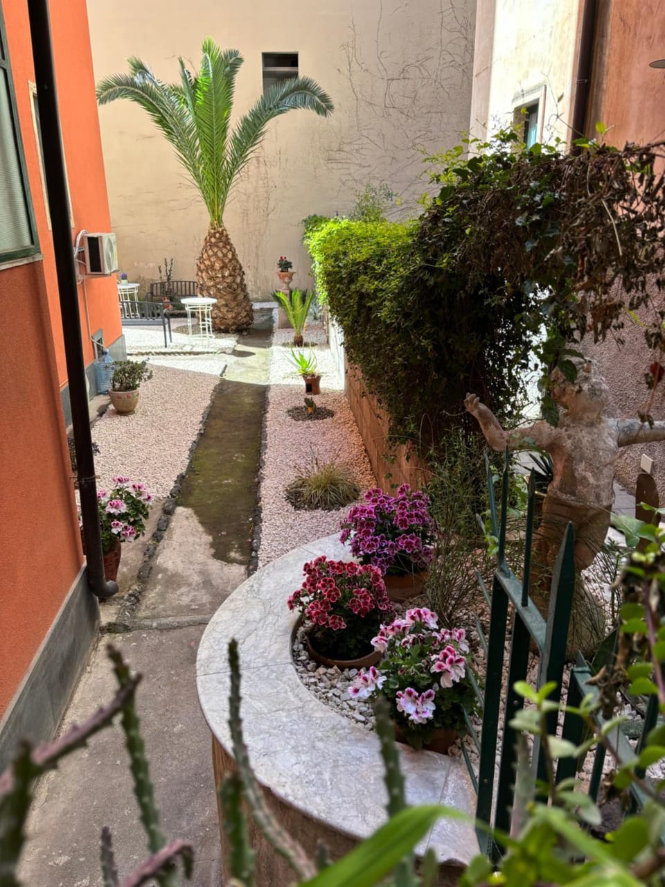 Garden, Garden, Garden view, Garden view
