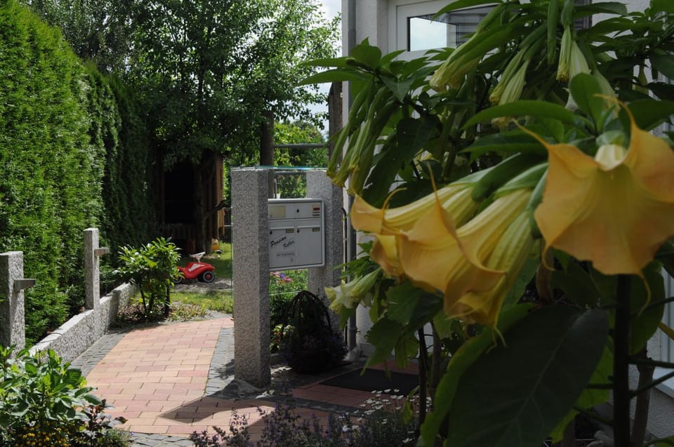 Property building, Facade/entrance, Garden