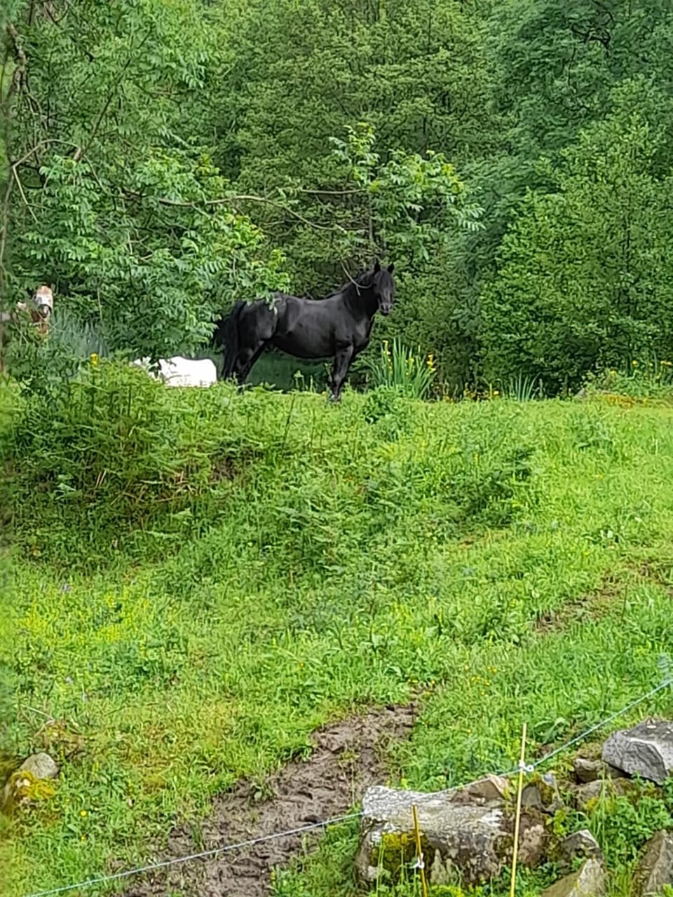 Gîte en pleine nature accès 4x4 ou à pied House in Occitanie