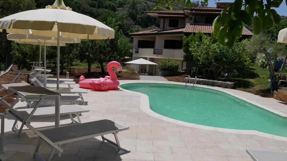 Pool view
