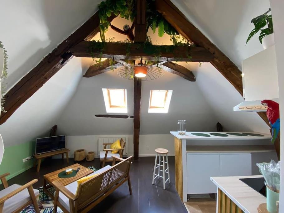 Sous les tropiques d’Ablis Apartment in Île-de-France
