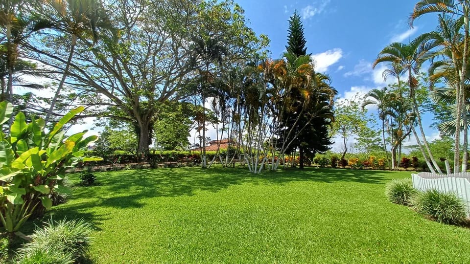Garden, Garden view