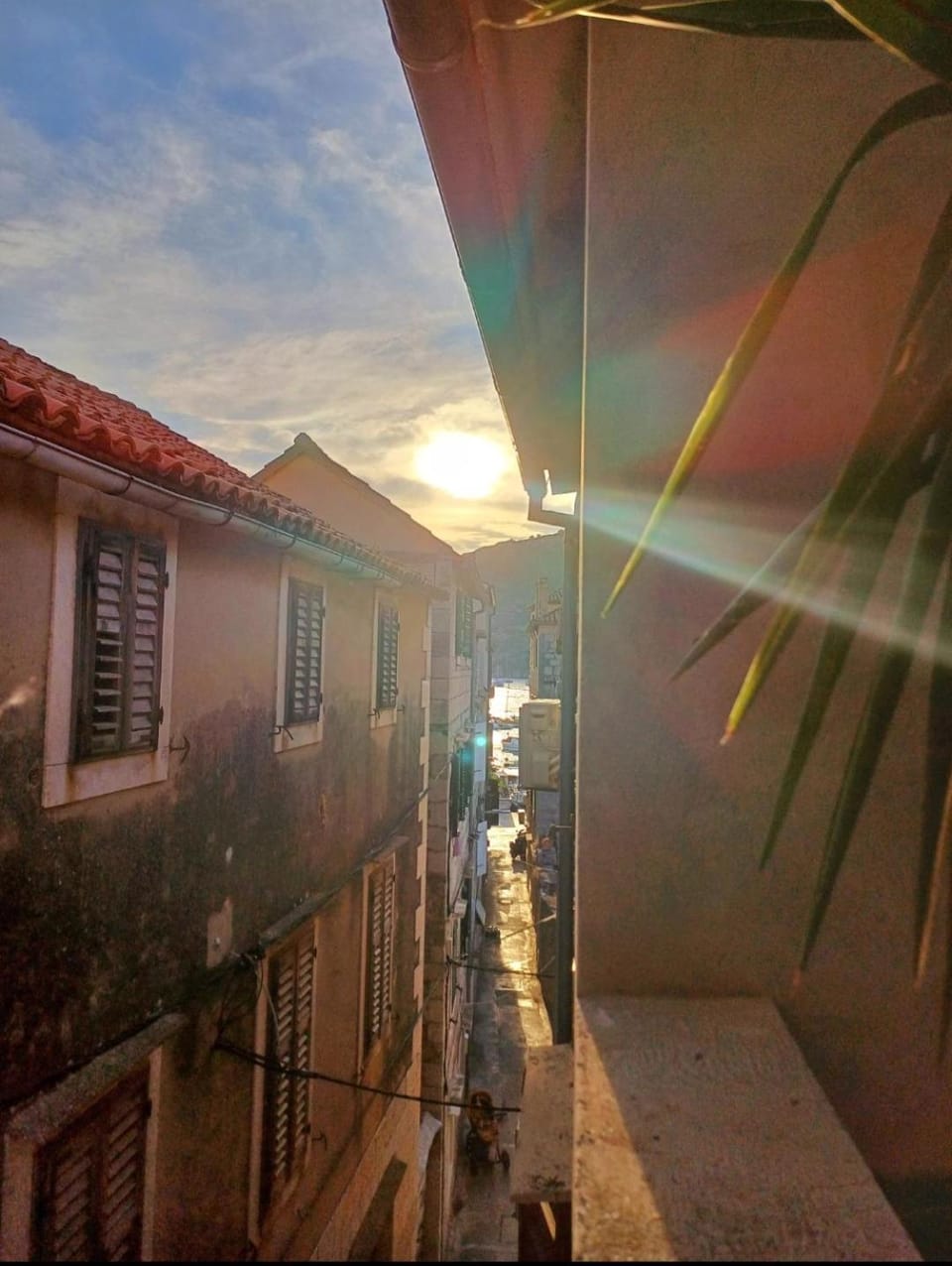 Day, Summer, Street view, Sunset