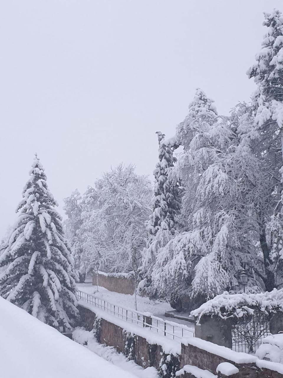 Day, Natural landscape, Winter, Garden view