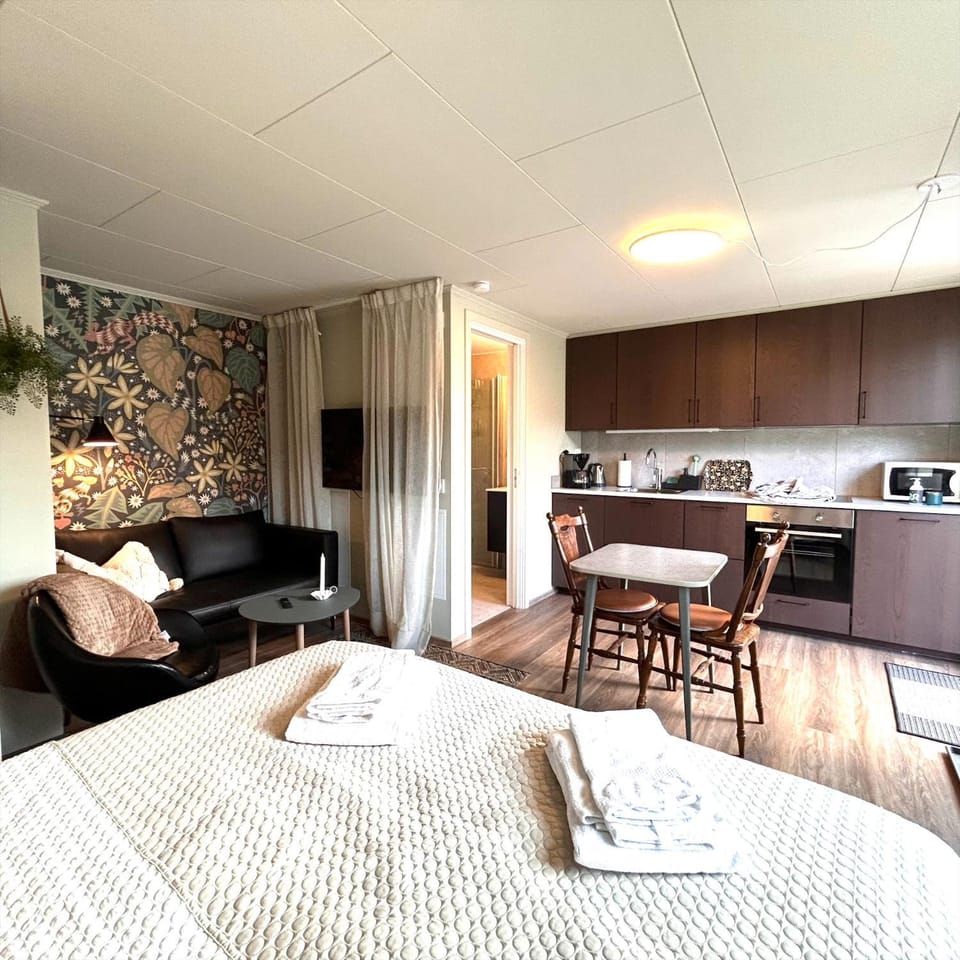 TV and multimedia, Kitchen or kitchenette, Living room, Photo of the whole room, Seating area, Dining area, minibar, pet friendly