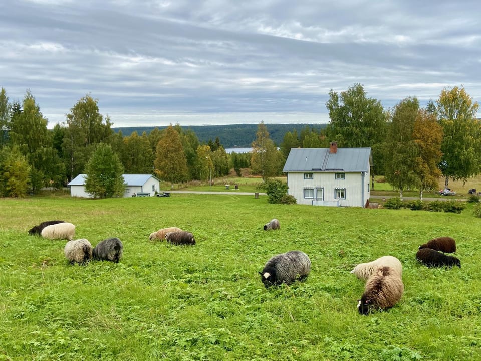 Natural landscape