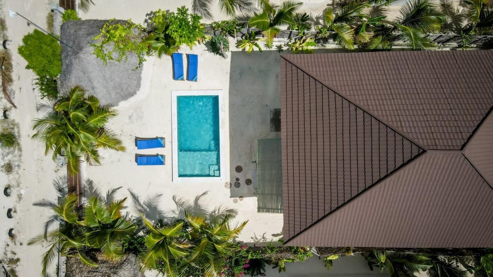 Property building, Garden, Garden view, Pool view, Swimming pool