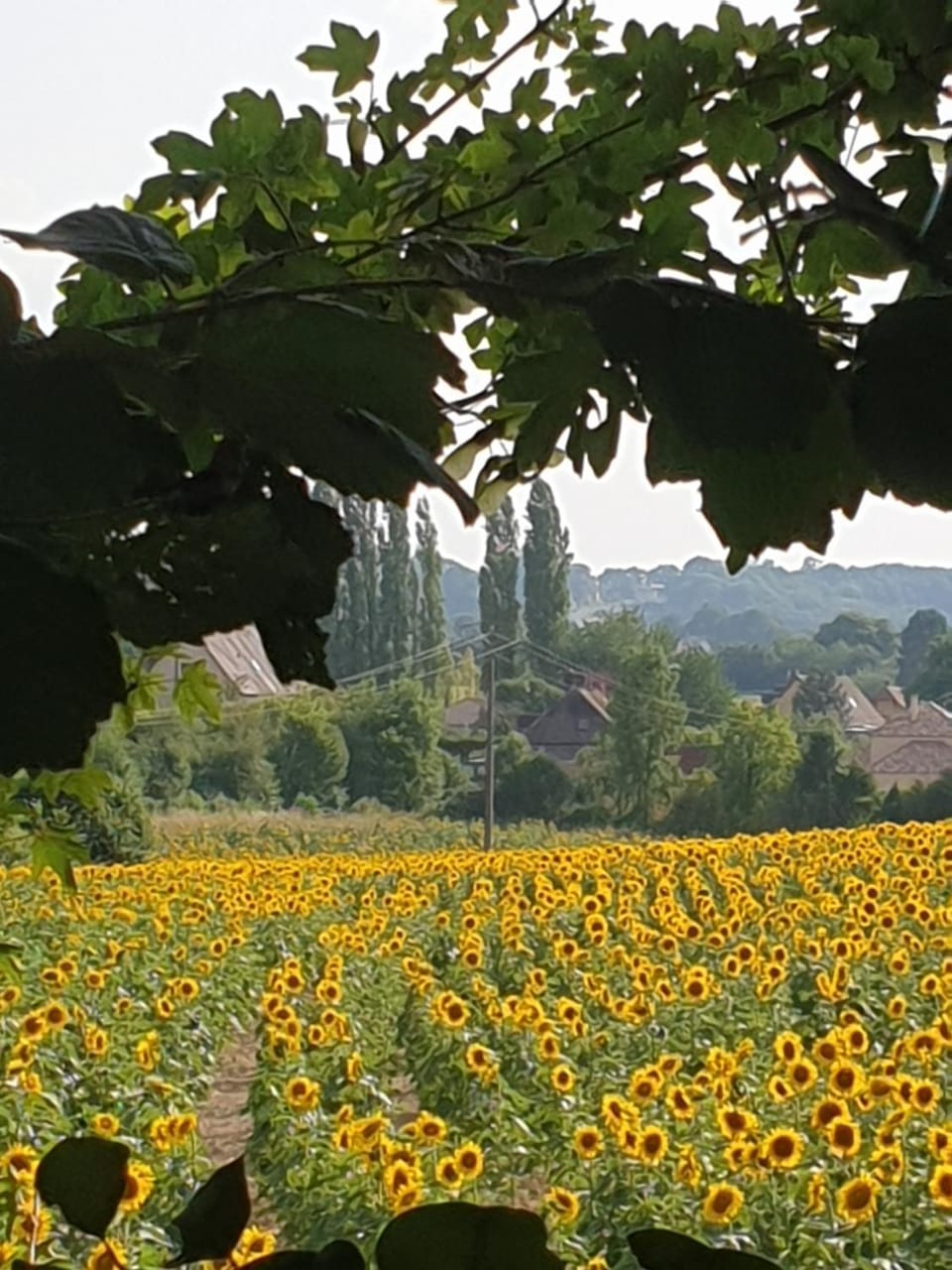Le refuge Country House in Normandy