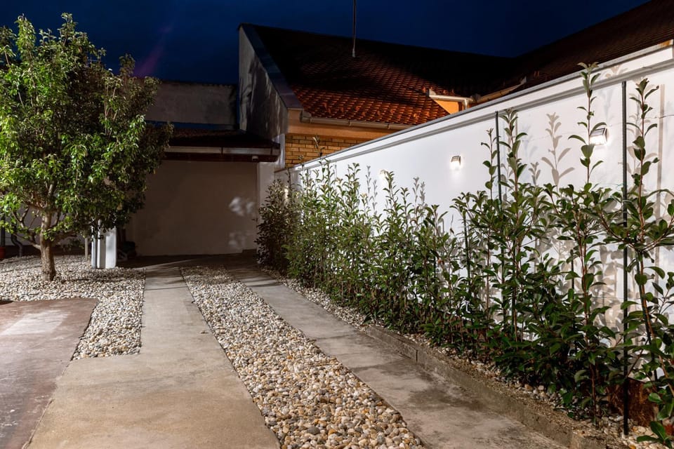 Night, Garden, Garden view
