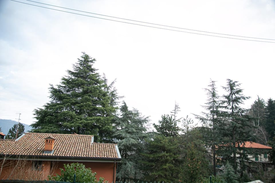 Spring, Natural landscape, Mountain view