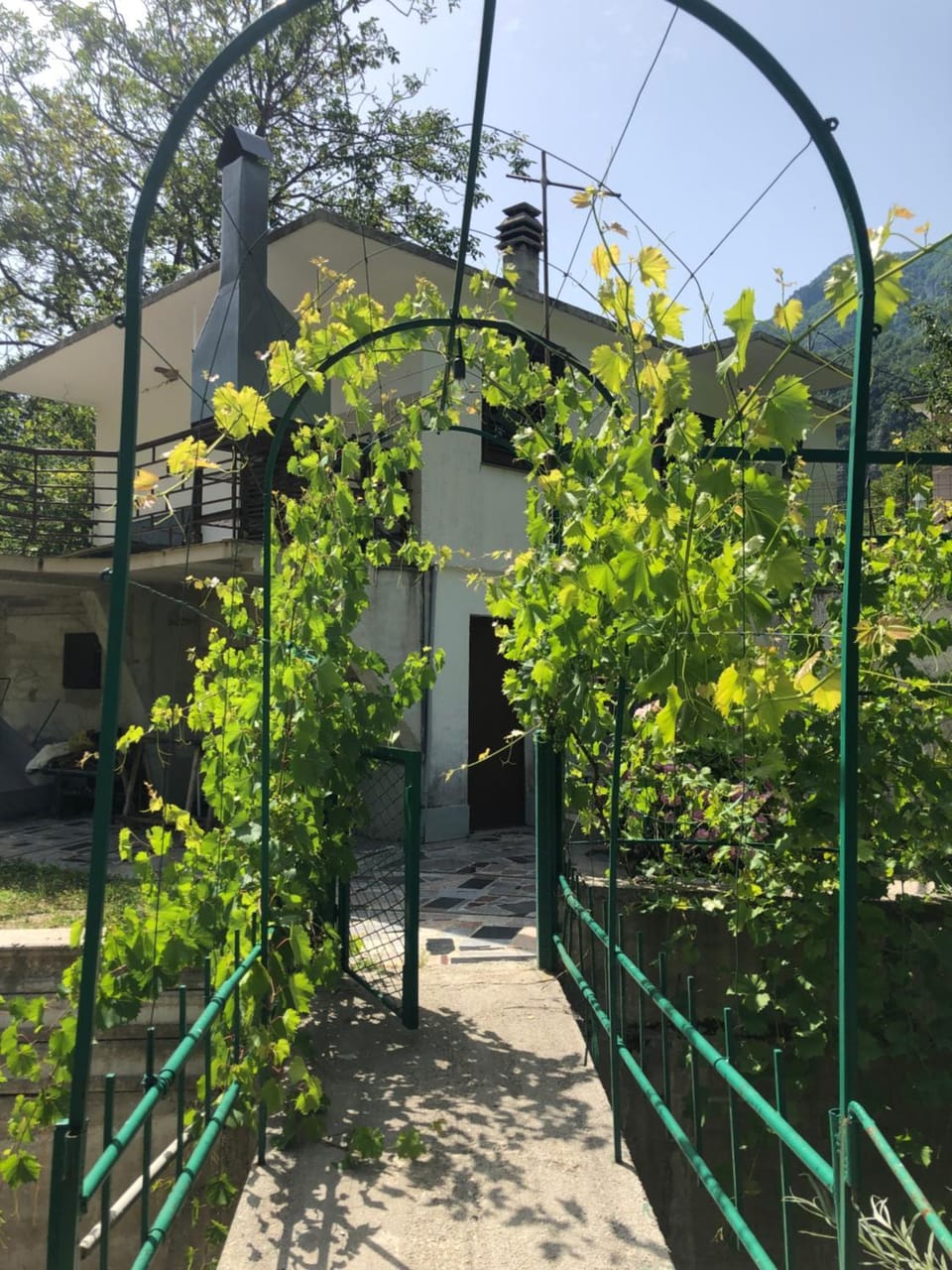 Day, Garden