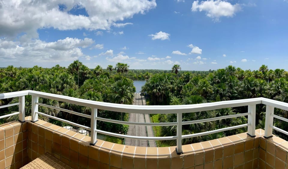 Natural landscape, Balcony/Terrace
