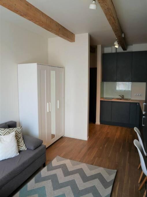 Lovely 1-bedroom condo Apartment in Riga