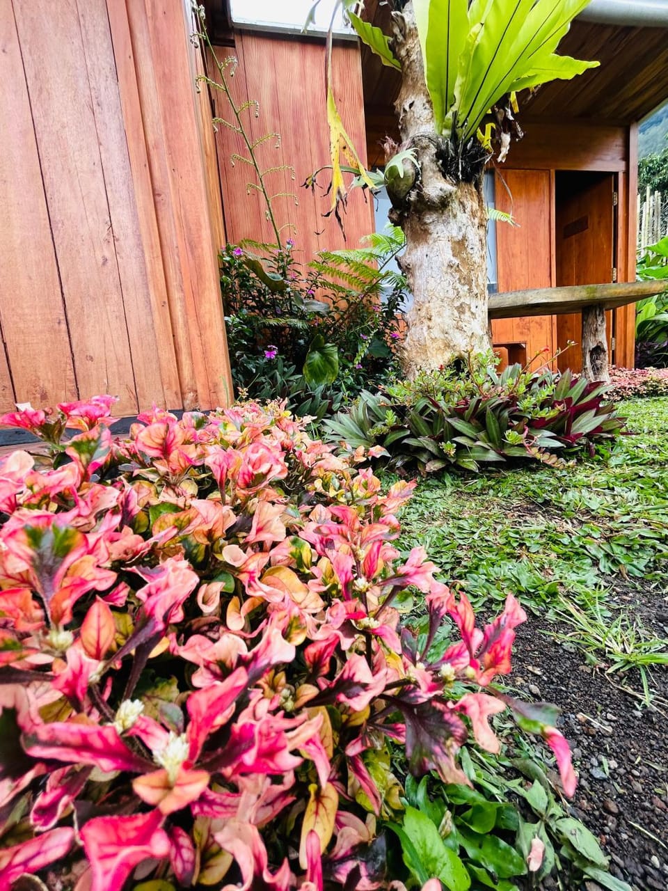 BSG Bed and Breakfast in Karangasem Regency