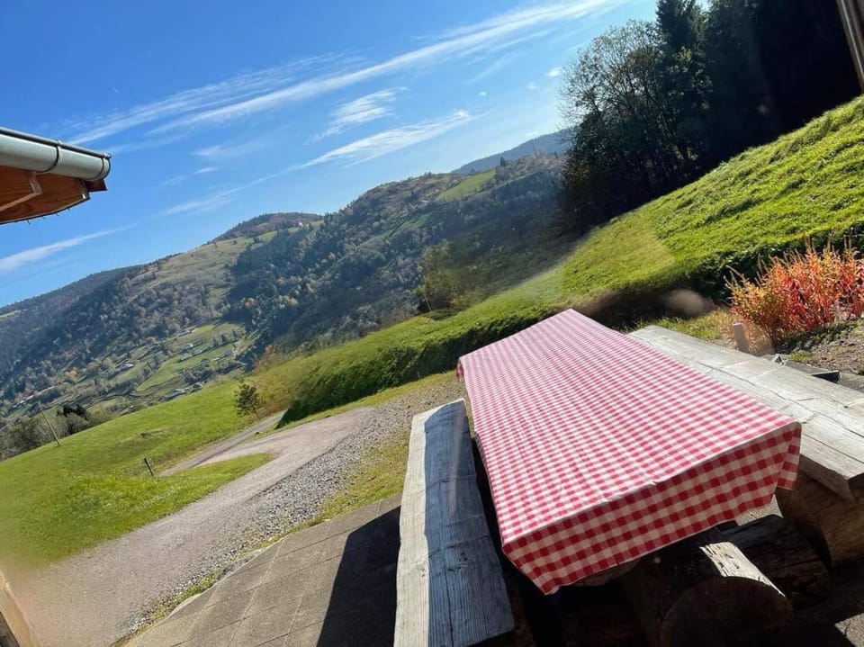 Spring, Day, Natural landscape, Dining area, Mountain view