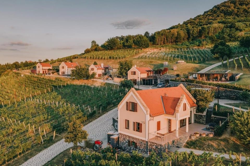 Great vacation house for groups Apartment in Hungary