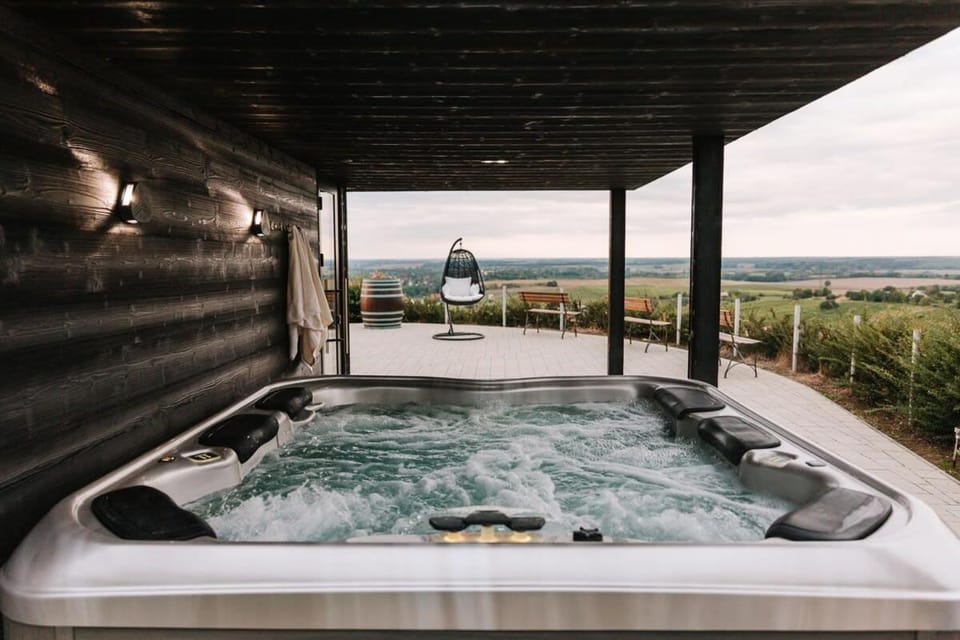 Perfect vacation at winery Apartment in Hungary