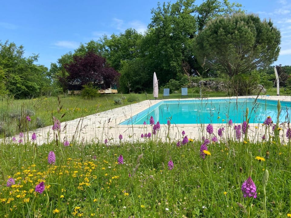 Spring, Day, Garden, Garden view, Pool view, Swimming pool