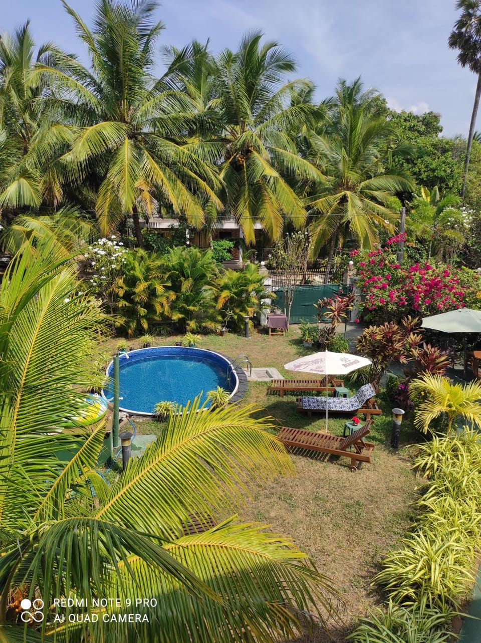 Villa Nemo Bed and Breakfast in Sri Lanka