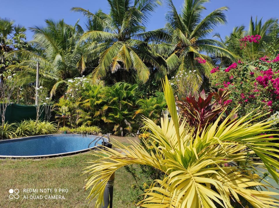 Villa Nemo Bed and Breakfast in Sri Lanka