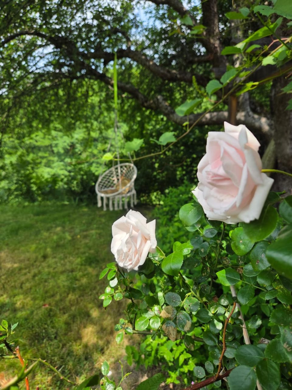 Garden, Garden view
