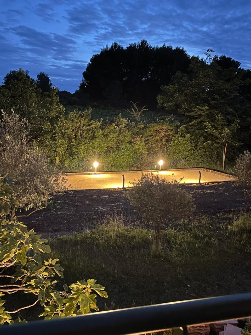 Night, Garden view