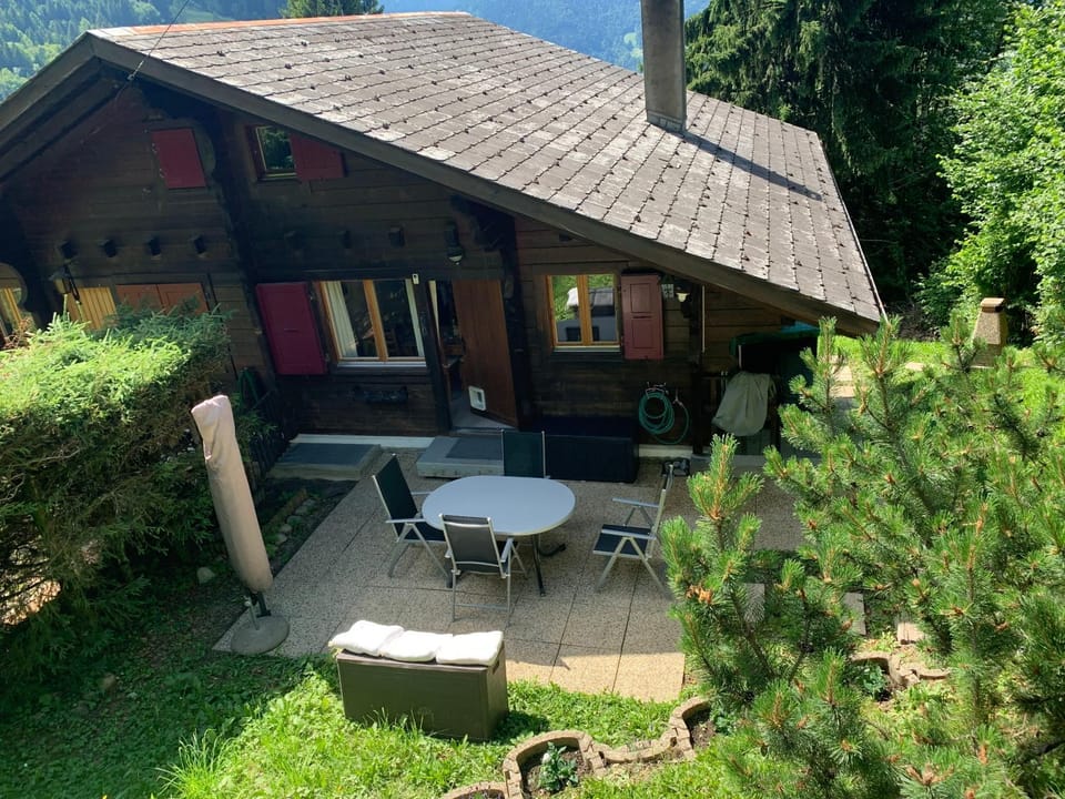 Patio, Spring, Day, Garden, Garden view