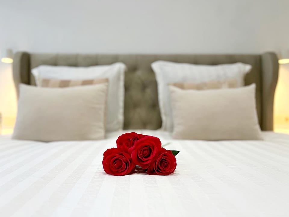 Sublime appartement Calme Cosy & Jacuzzi Apartment in Brussels