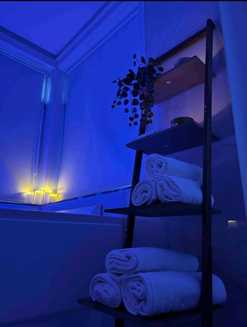 Sublime appartement Calme Cosy & Jacuzzi Apartment in Brussels