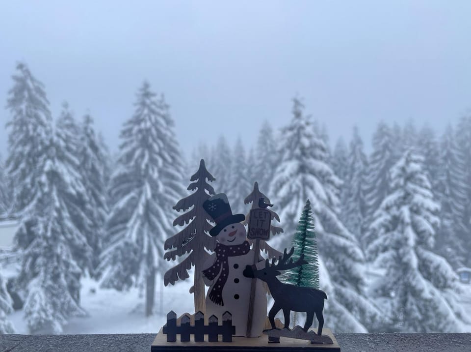 Winter, Balcony/Terrace