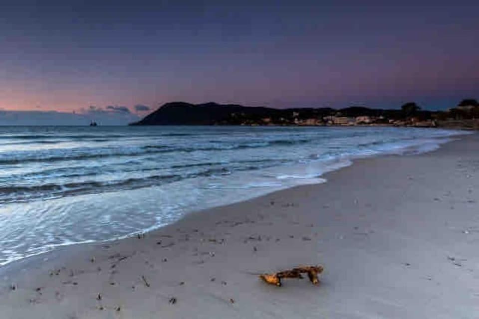 T2 agréable proche de la mer (mar vivo-sablettes) Apartment in La Seyne-sur-Mer