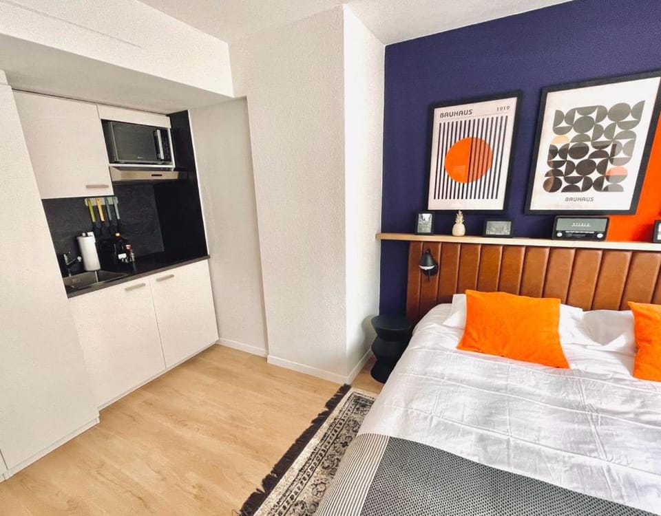 Cozy Studio Apartment Unit 11 in Center of Zurich Apartment in Zurich City