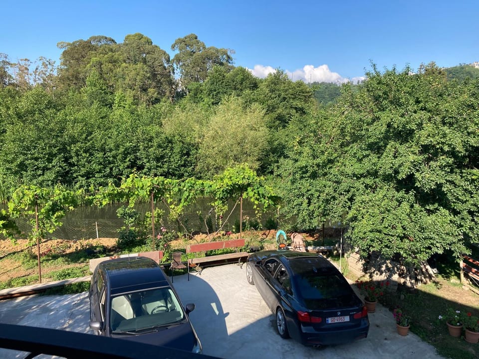 Spring, Day, Neighbourhood, Natural landscape, Garden, Garden view, Parking