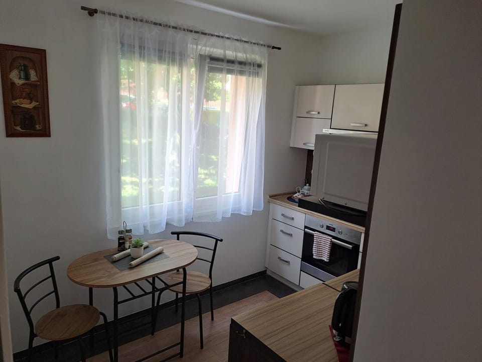 Kitchen or kitchenette, minibar, pet friendly