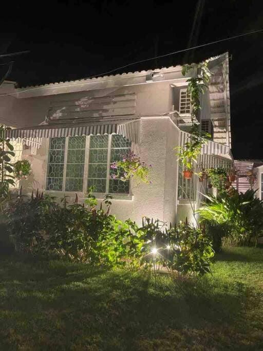 Night, Garden, Garden view