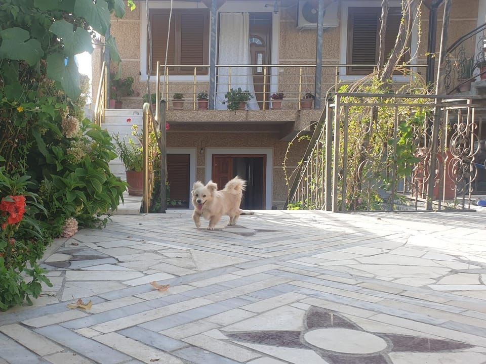 Property building, Garden