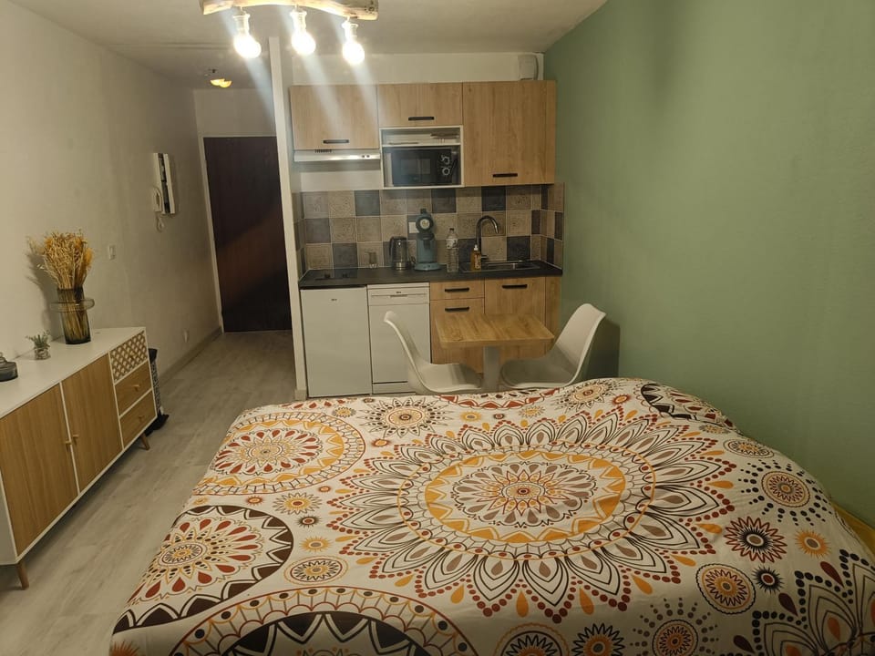 Grand jardin, plage, agréable, hôte reactif Apartment in Saint-Cyprien