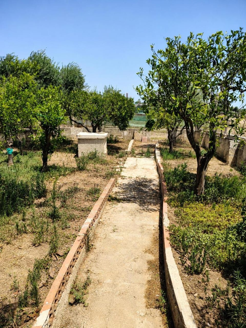 Jasmine House, Viale Kennedy, Santa Maria del focallo House in Santa Maria del Focallo