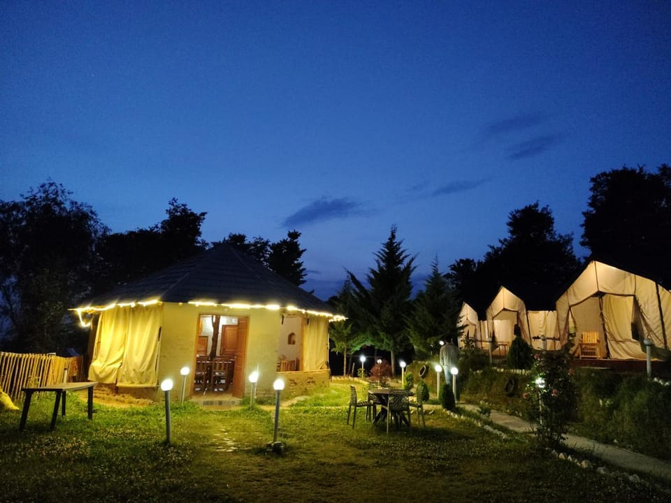 Property building, Night, Natural landscape, Garden, Garden view