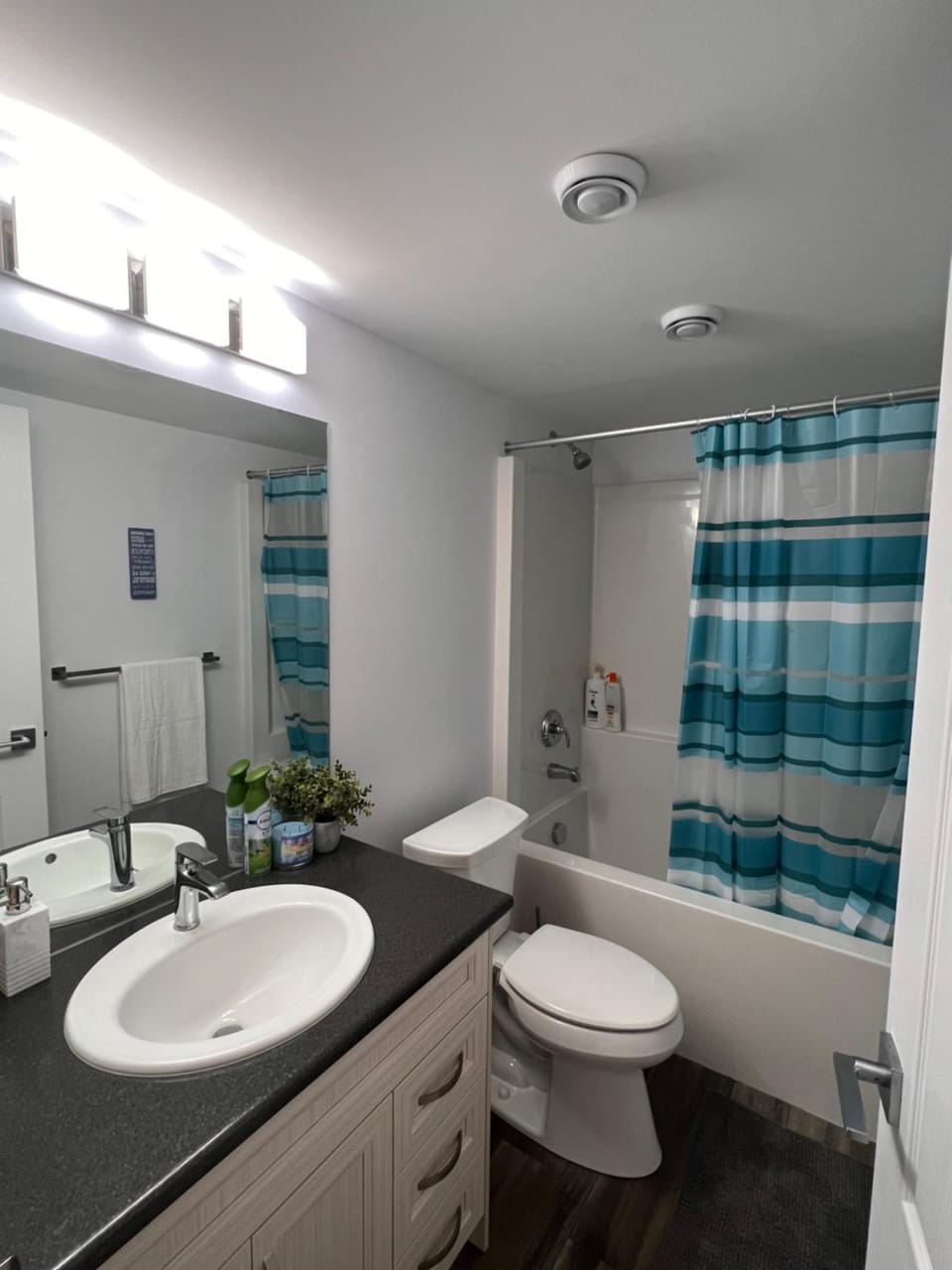 Basement suite Apartment in Winnipeg