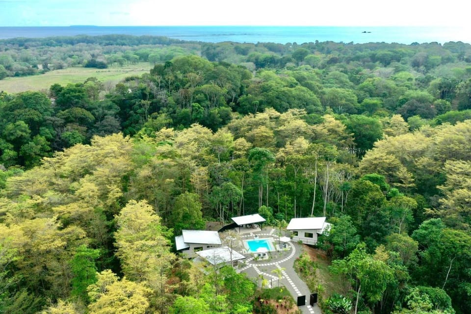 Day, Natural landscape, Bird's eye view, Pool view, Swimming pool