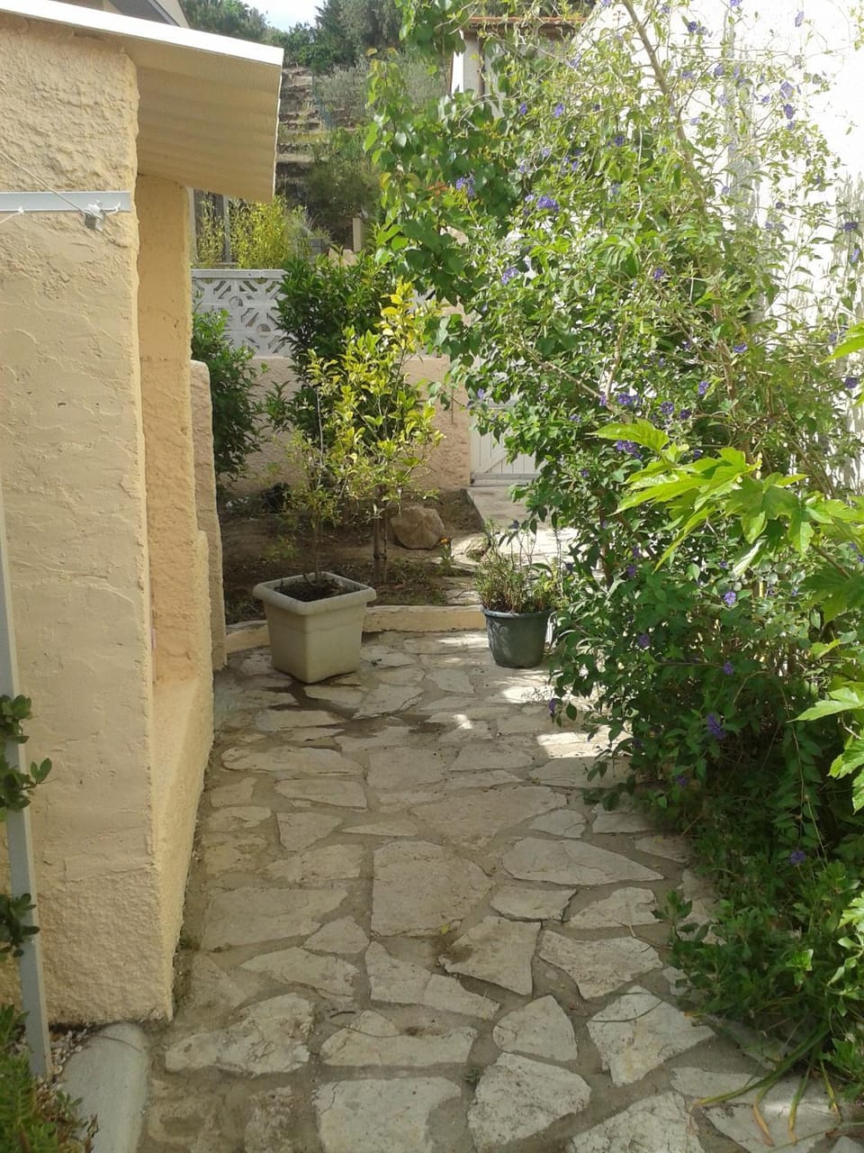 Garden view