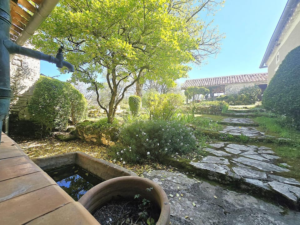 Spring, Day, Garden, Garden view