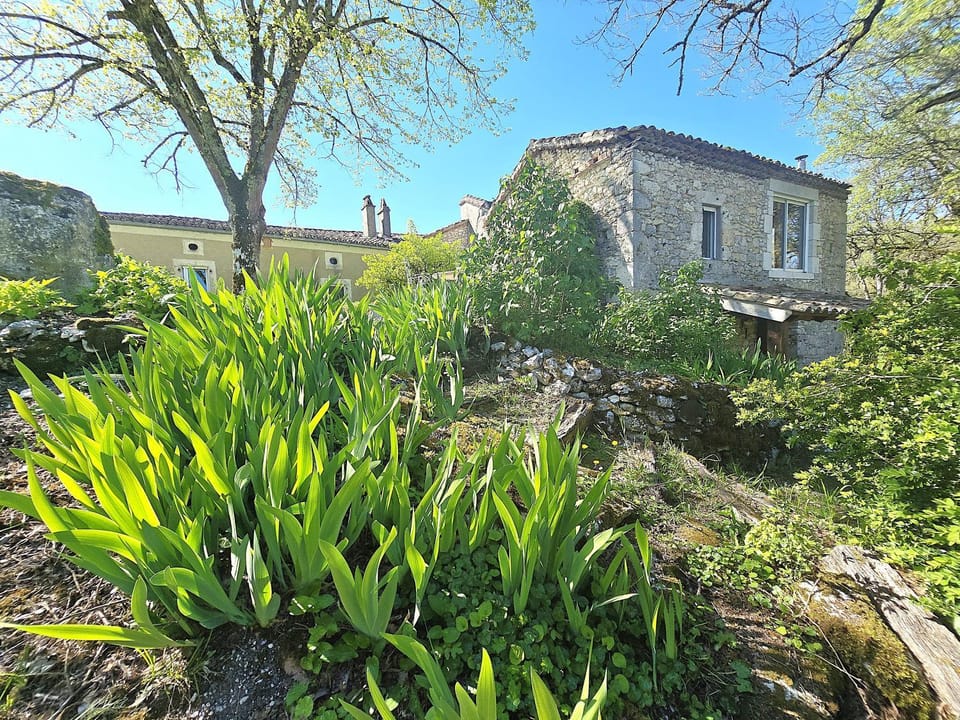 Property building, Garden, Garden view, Landmark view
