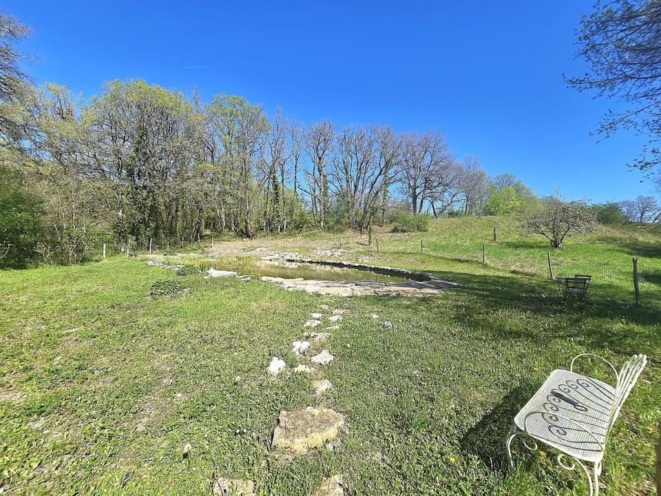 Spring, Day, Natural landscape