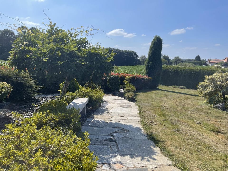 Day, Garden, Garden view