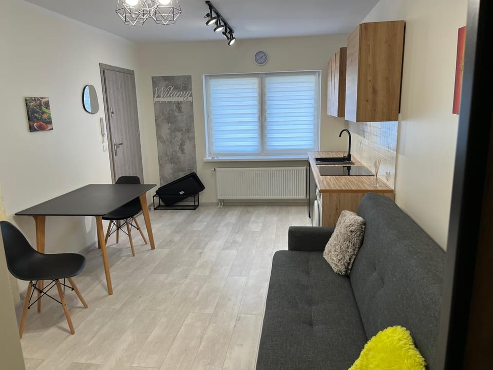 Apartament Mazowiecka 29 (blisko PESA, PKP, Atos) Apartment in Greater Poland Voivodeship